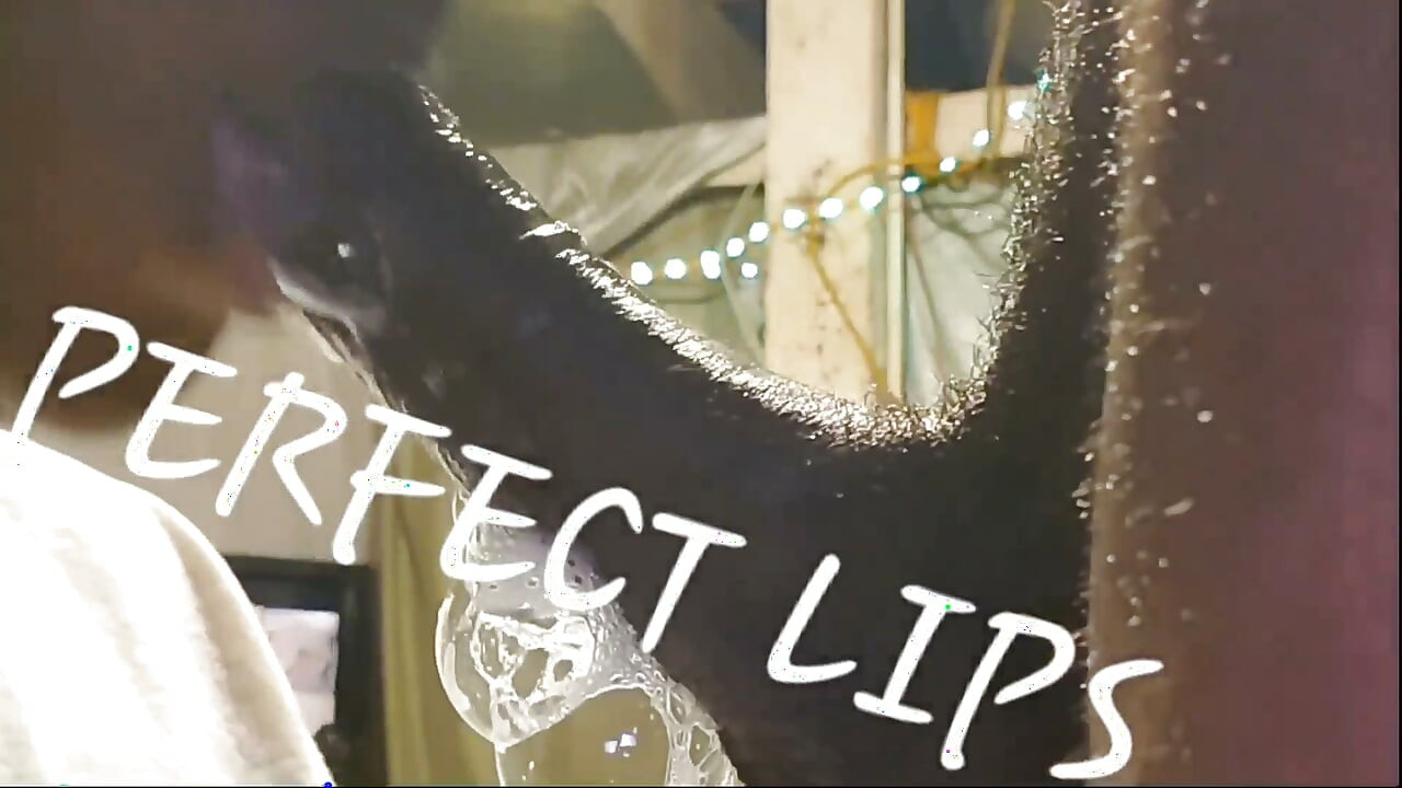 PERFECT LIPS-CUM IN MOUTH COMPILATION PRT.6