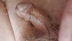 Tiny dick masturbating and ass fingering
