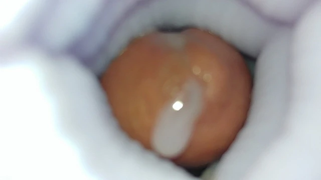 Bad Dragon's nix part 2 (internal view)