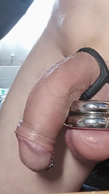 cock with rings balls and PA