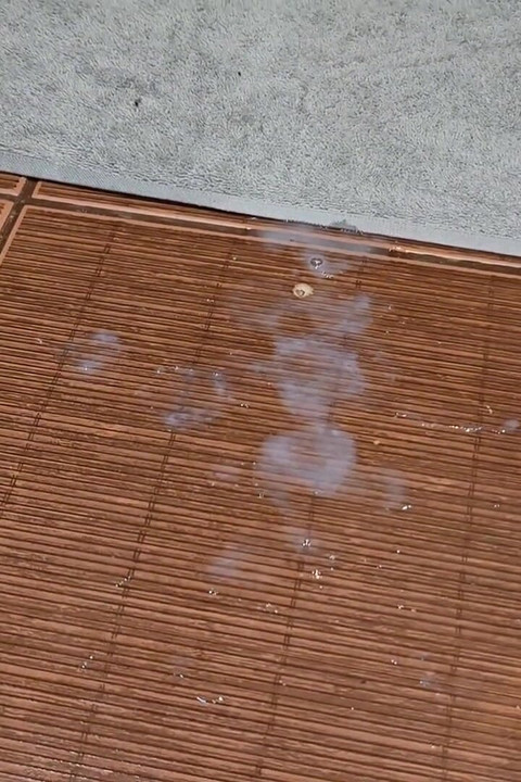 We Can Share the Bathroom but Fuck Me First, Just Don't Get Me Pregnant