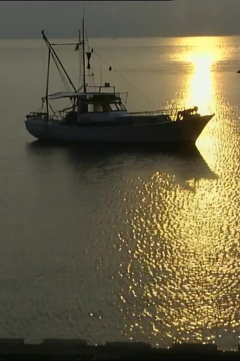 Napaljena brineta puši veliki kurac njegovog prijatelja pre nego što se jebe