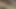 I sucked my husband's cock. Cum on the face!