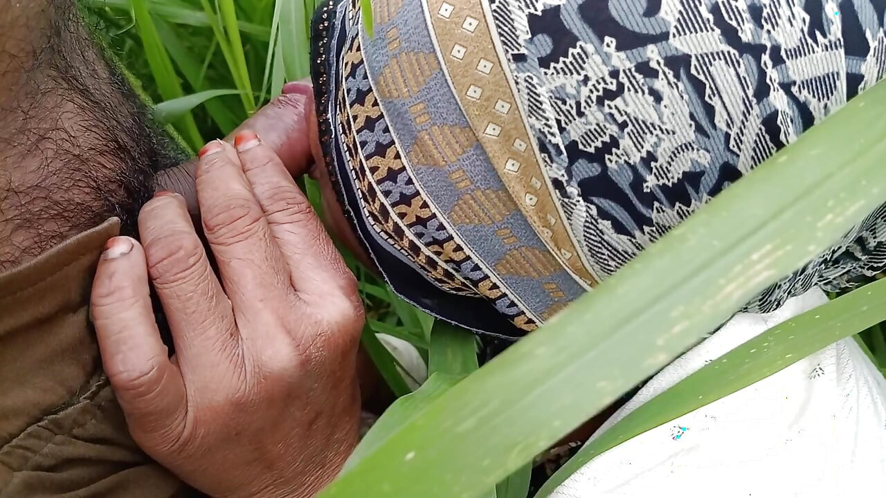In the millet field, my elder sister-in-law sucked the cock and ass Mari opened the field of millet and killed my sister-in-law's ass
