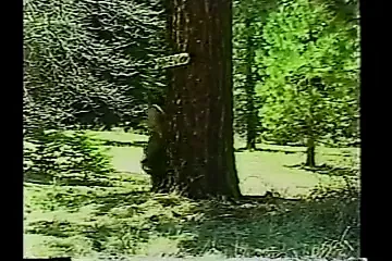 Shaved Sinners 1 (1987)
