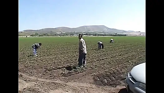 Hardcore Rough Fucks!!! Slutty Brunette' S Hot Holes Hard Banged Vol 1