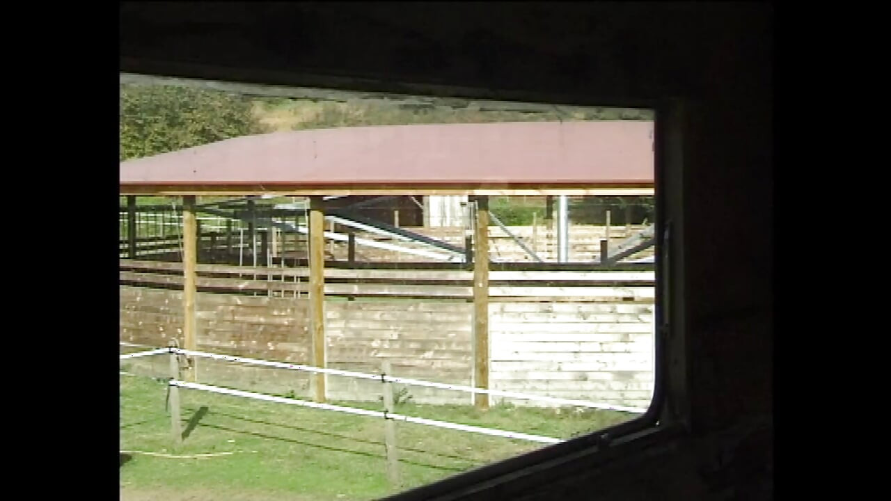 Sensual rainha adora sexo selvagem