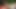 Wanking in the garden - 22nd April 2018