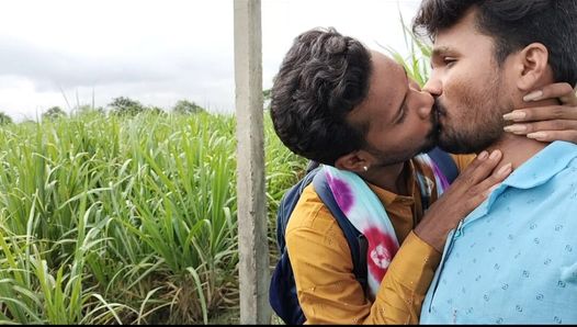 Besos de caña de caña en el bosque indio al aire libre.