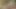 Potro de Bilbao bizi seksi kolej buluşması Eva Fay ile tanıştırıyor!