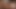 Keeani Lei Cum Guzzling DP Whore