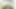 Nely sissy culona big balls bitch self cum tranny shemale