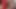 Ir Trans, lateinisches Schätzchen mit dicken Möpsen, BBC, ohne Gummi, vom Freund gefickt