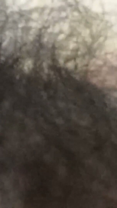 By shaking the land n in the Jat, water came out of the boy sexy porn video viral mms video sexy video sex videojaat mein c | Clip 1