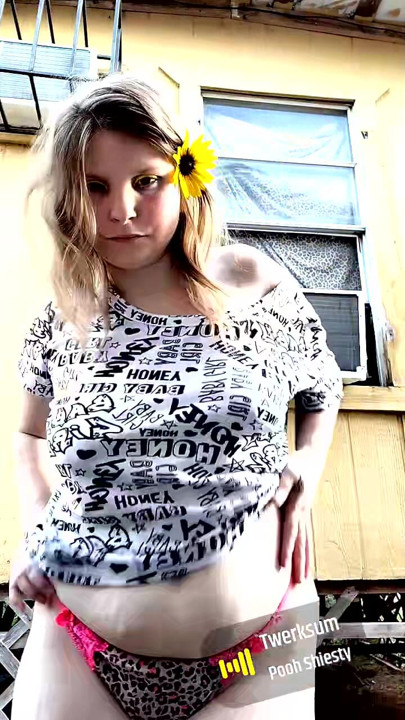 Zexy flower Rose