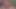 Anal sex creampie