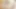 Play with my pussy masturbation 003