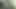 يا له من برازيلي جميل