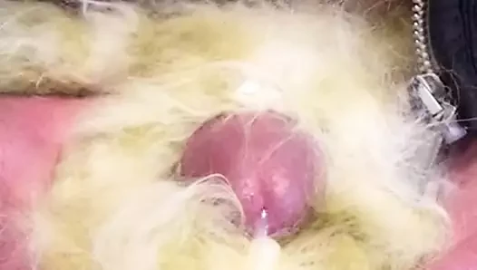 angora fick