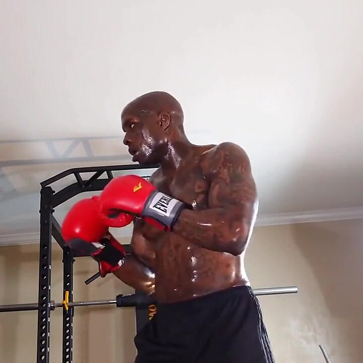 Boxing Workout Core Strength Is Imperative for Maintaining the Natural Curvatures of the Spine, Both at Rest and During Movement