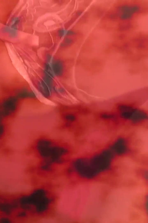 The Devil's Gangbang: Scena 2 Z Udziałem Lisa Ann, Wesley Pipes, Mark Anthony