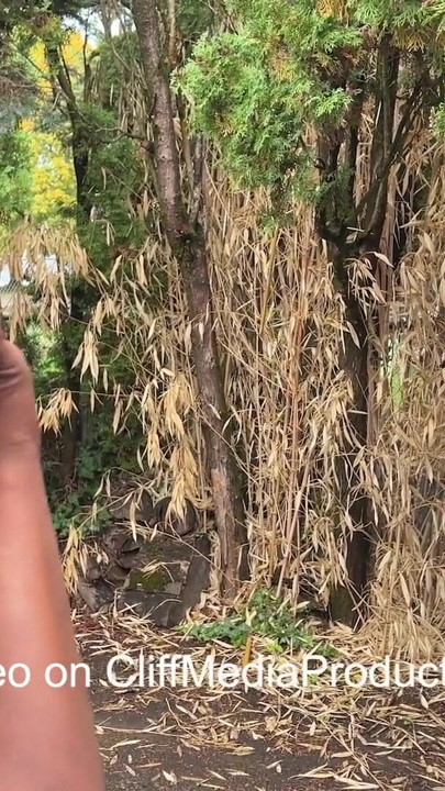 Library Fairy's Lesbian Foray - Cliff Media Productions | Clip 1