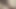 Close-up and Dildo in My Pussy
