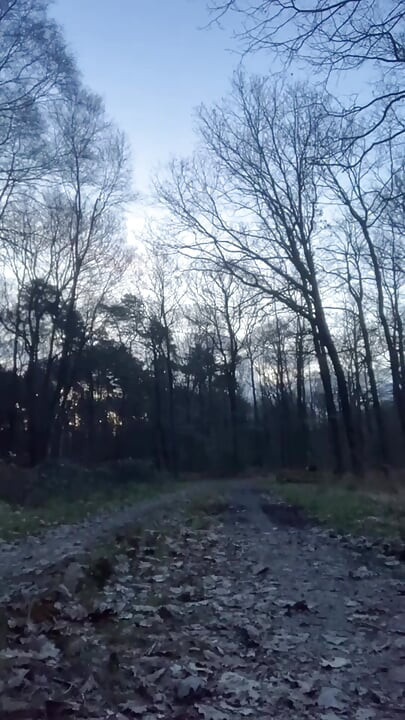 Dressed with a fuchsia skirt in a forest