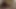 Evde Hintli seks hintli desi mms
