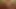 803164.mp4