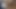 これが大きなペニスに乗る方法、女性が大きなお尻を大きくて美味しいペニスに乗せる方法