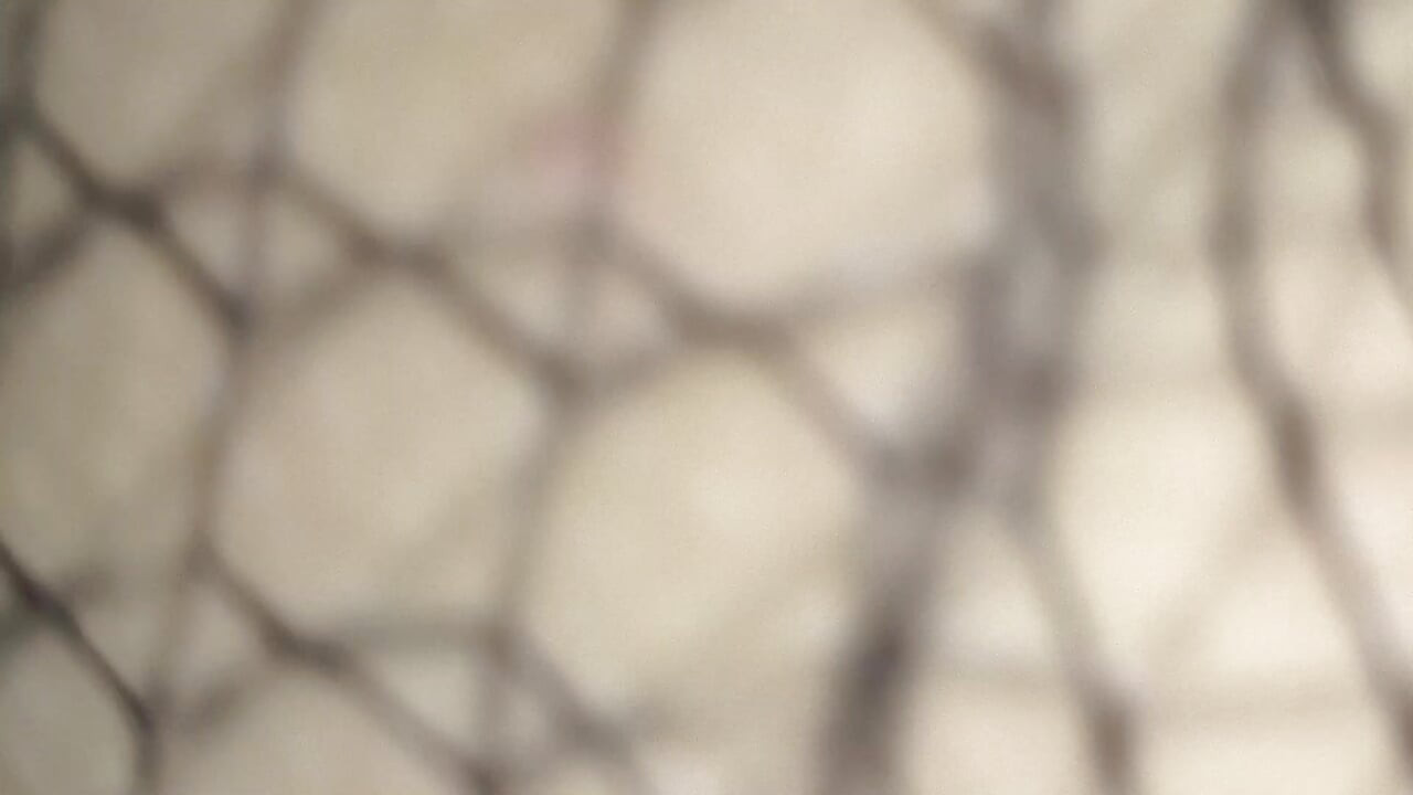 cheating wife seduces me dancing and shaking her ass before i fuck her rough