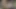 DADDY4K. Luna Bunny fell in love and sucked veteran's cock...