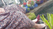 Video pregled