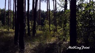 MelKingPoint - circondato da alberi