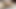 you have to see this! that babe has a huge talent for sucking cock!