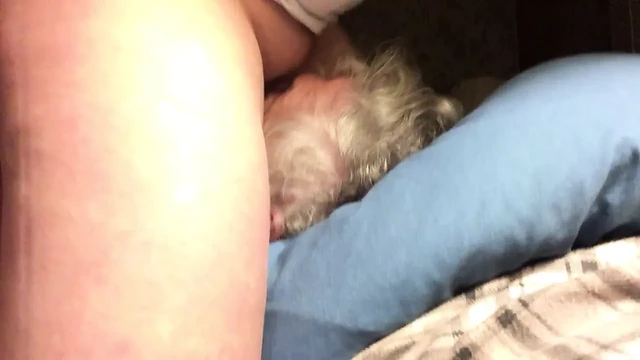 More pillow candy 12319