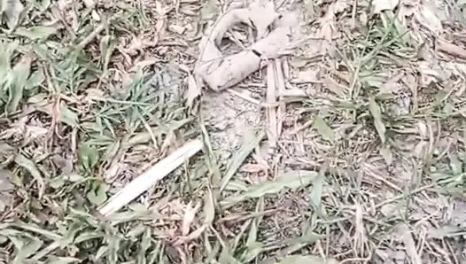 Jangal Me Chut Ka Maggal
