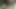 Asya zafer deliği eğlence ile cumlicking solo bebeğim