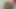 Aiza put lond black dildo in her prolapsing ass