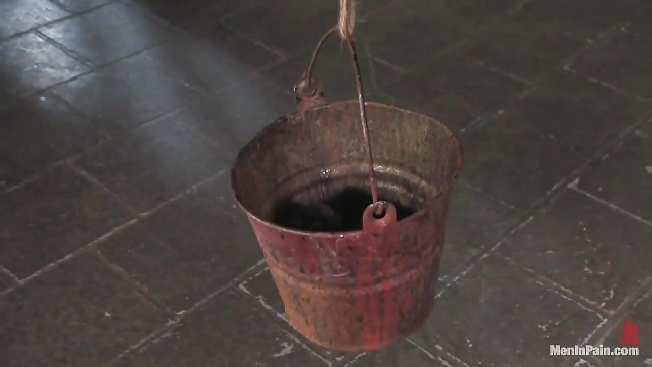 Dominacija