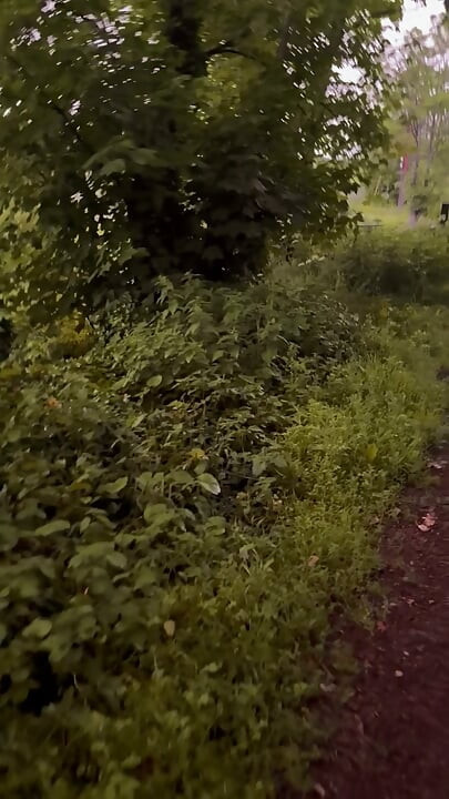 Exploring new tracks walking naked barefoot