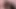 Click on the amateur to make a film