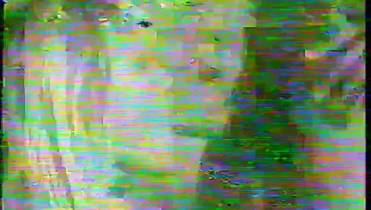 Undercover Agents Francois Papillon and Kascha Were Sent to Hawaii to Catch Syndicate Big Fish
