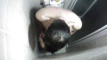 Pratinjau video