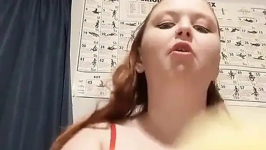 Spons kuda poni kecilku menggosok