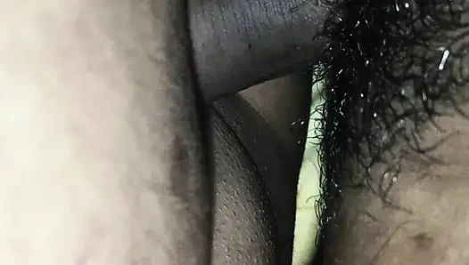 Бенгальская бабхи-траха Dasi Anil