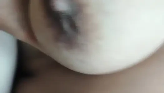 Kelantan Widow Playing Dick