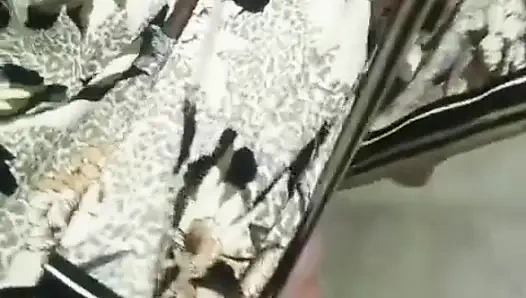 Help Me to Choose My Panties Papy