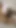 Üniversiteli kız ve büyük dildo, beyaz kutuda gerçek orgazm mastürbasyonu seansı